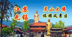 中国第一黄艹逼江苏无锡灵山大佛旅游风景区